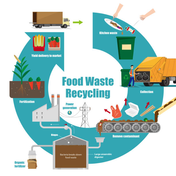 illustratives diagramm des recyclingprozesses für lebensmittelabfälle - anaerobic stock-grafiken, -clipart, -cartoons und -symbole