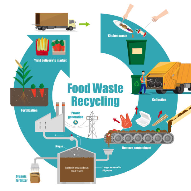 ilustrujący schemat procesu recyklingu odpadów spożywczych - anaerobic stock illustrations