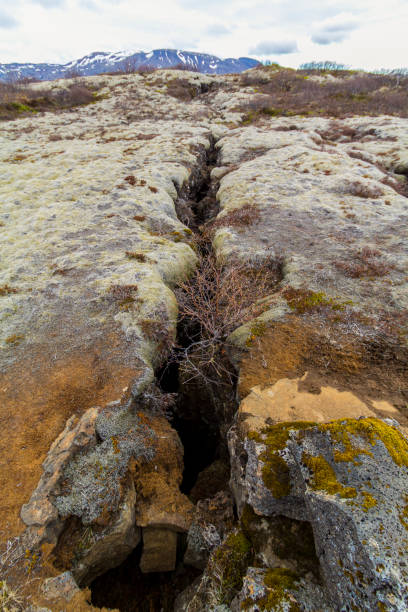 istock Crevice in Thingvellir National Park 1305676640