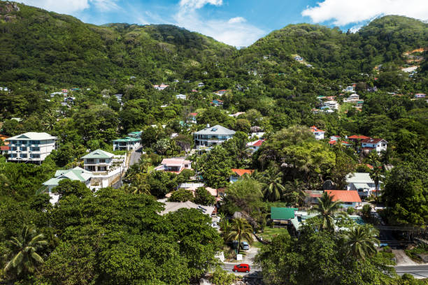 istock Aerial view on houses in tropics. 1305678538