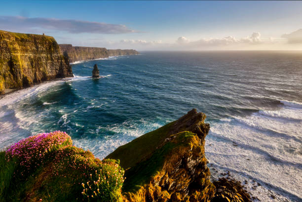 istock Lush Grass at Cliffs of Moher in Ireland 1305679526