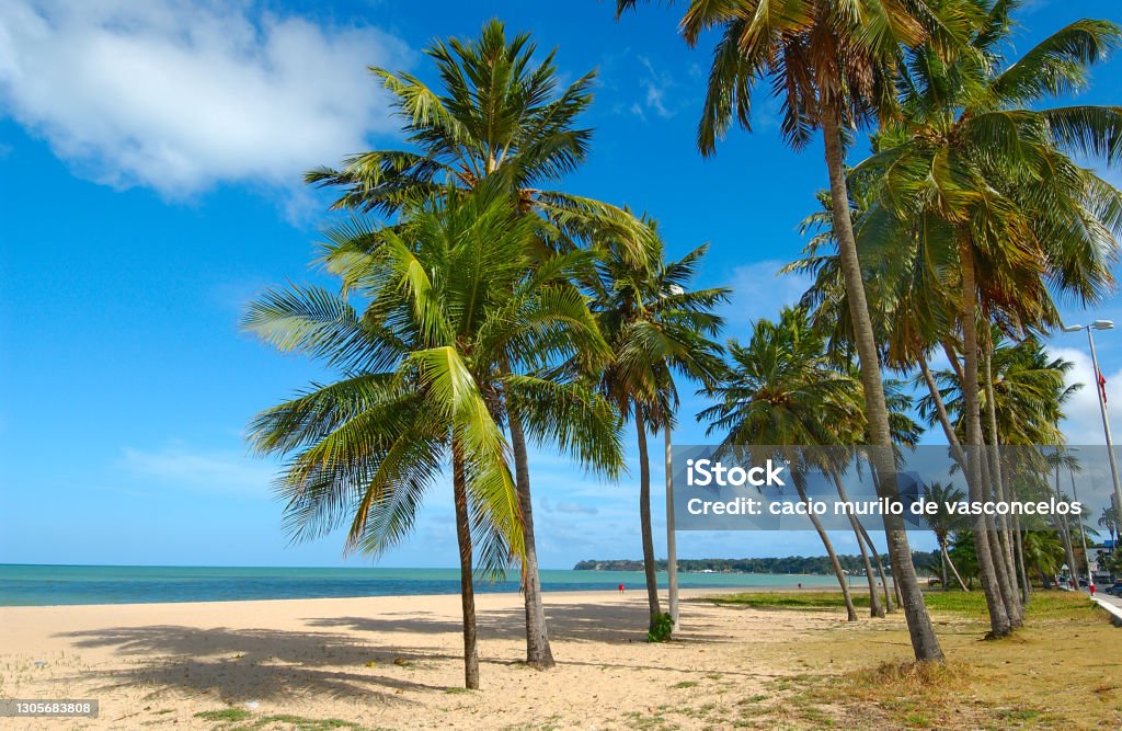 Cabo Branco beach with white sands and coconut grove in João Pessoa, Paraíba State, Brazil on March 10, 2009. The extreme eastern geographic point of the Americas. Brazil Stock Photo