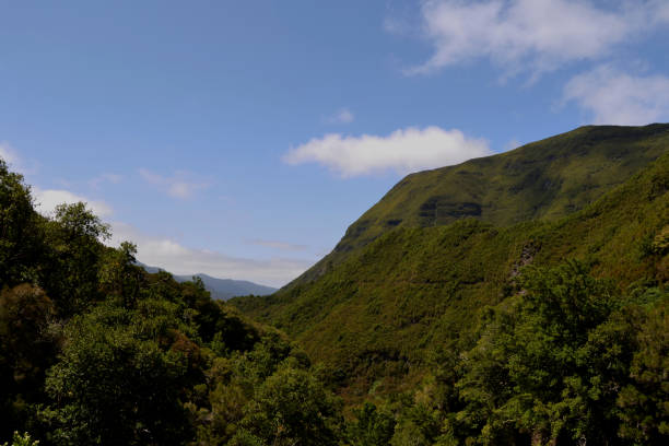 istock The green mountain and the blue sky 1305684187