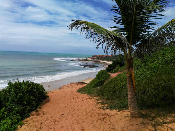 istock Praia do Amor - Pipa, Brazil 1305685001