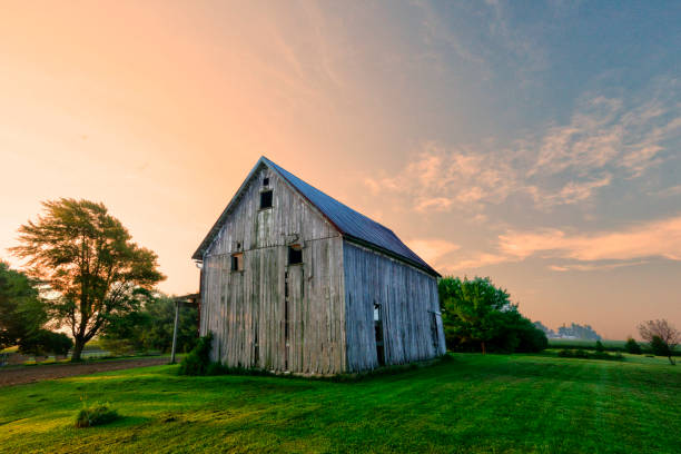 istock Old weathered barn at sunrise-Howard County Indiana 1305691299