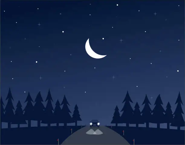 Vector illustration of Night road with the car and the forest