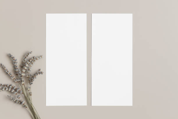 istock Two menu cards mockup with a lavender deocoration, 4x9 ratio. 1305695986