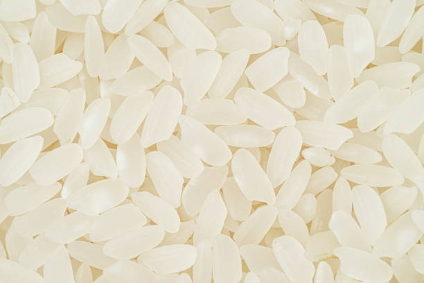 Macro shot of dry rice