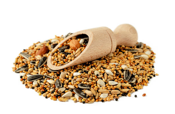 istock Heap of parrot fodder 1305697093