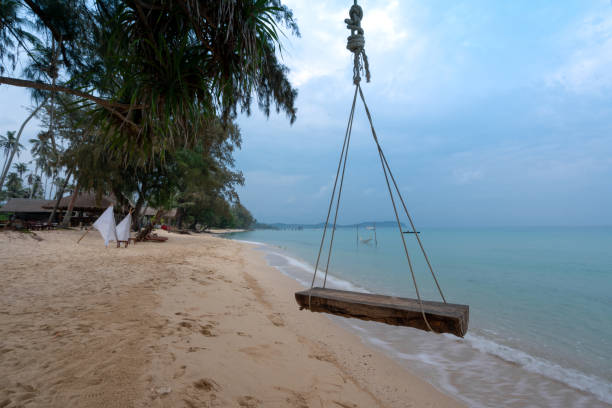 istock hanging timber swing on blue sea beach 1305697200