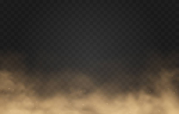 ilustraciones, imágenes clip art, dibujos animados e iconos de stock de nube de polvo arenoso vectorial. nubes con partículas de polvo. tormenta de arena sobre un fondo transparente aislado. png. - tempestad-de-arena