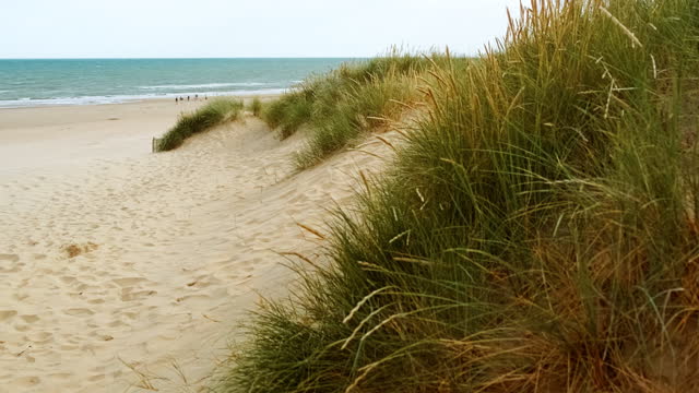 The Dunes of Camber Sands Beach, East Sussex, England, UK