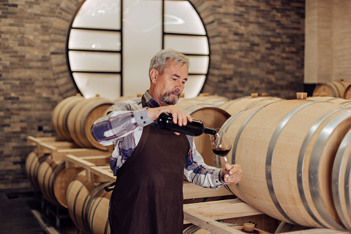 Portrait of a senior entrepreneur working at his winery on product inspection.