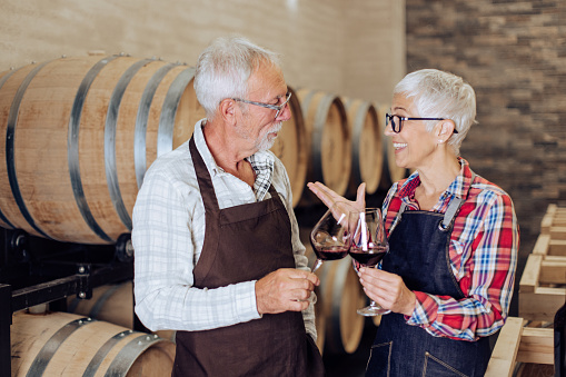 Senior couple of entrepreneurs toasting with wine at their wine cellar.