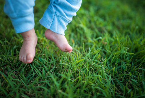 baby's feet on green grass
