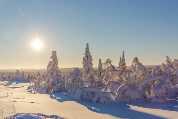 istock Sunny winter landscape in Lapland 1305706943