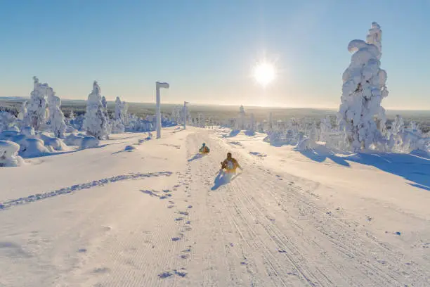 Photo of Beautiful snowy winter landscape. Snow covered fir trees on the background. Finland, Lapland