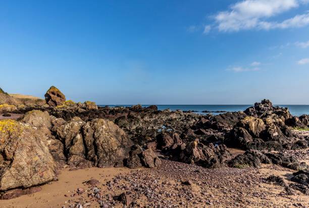 istock Water Pools Of The North Sea. 1305709270