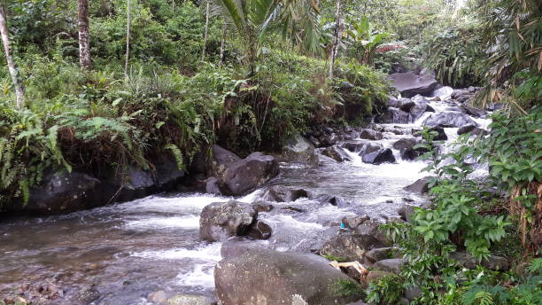 istock The clear river flow looks beautiful 1305713526