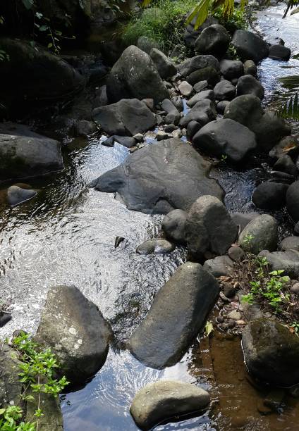 istock The Kalimanggis River during the dry season in Melung village, Central Java 1305715666