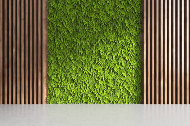 mur avec des feuilles et des éléments en bois - vertical garden photos et images de collection