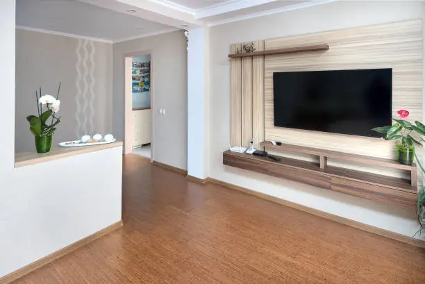 Modern apartment living room with large TV over wooden cabinet Orchid, cork floorboards and door to corridor. Real room of real estate, residential house.