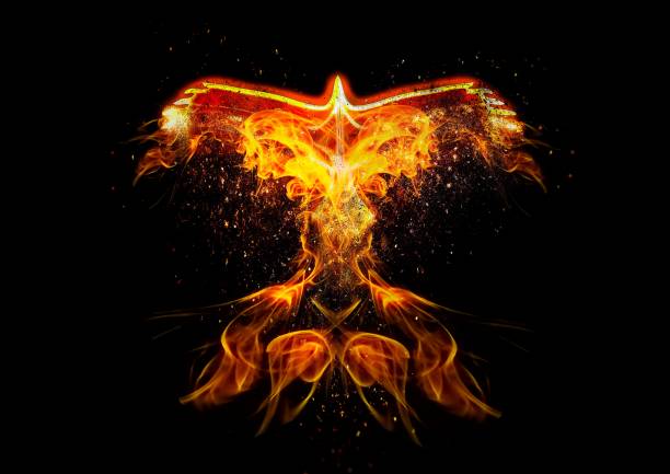 暗闇の中で羽ばたく火の鳥の3dイラスト - phoenix ストックフォトと画像