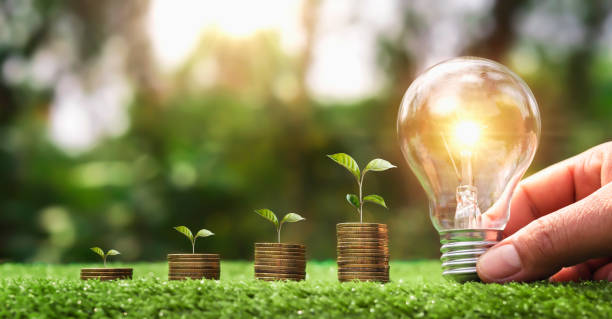 istock hand holding light bulb on green grass with young plant growing on coins stack. saving power energy and save money 1305728432