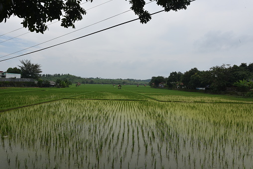 Yuangyang, Yunnan, China