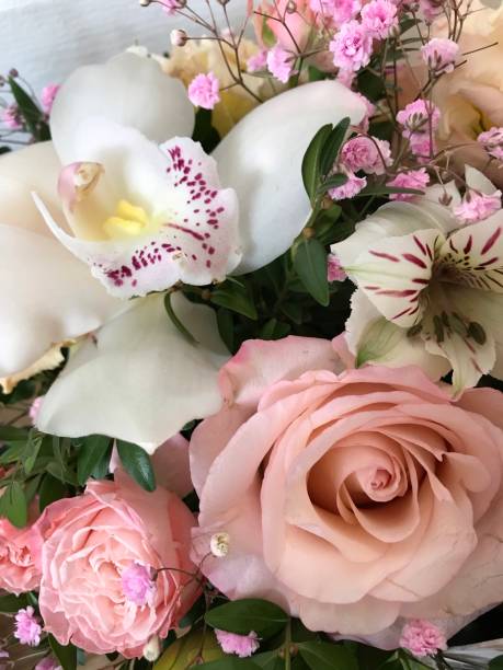 istock Pink flowers bouquet 1305735317