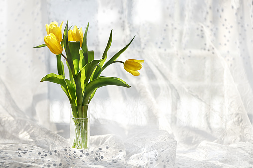 Yellow tulips in a vase on the window with sunshine. Soft focus.