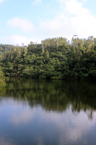 istock Mirror Lake in Hong Kong 1305740767