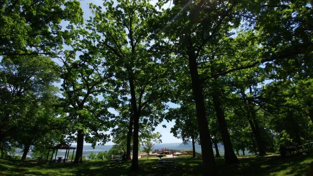 istock Pike's Peak State Park, Iowa 1305742900