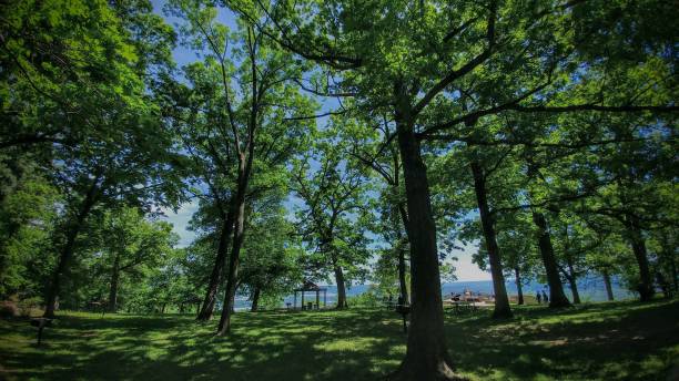 Pike's Peak State Park, Iowa 3