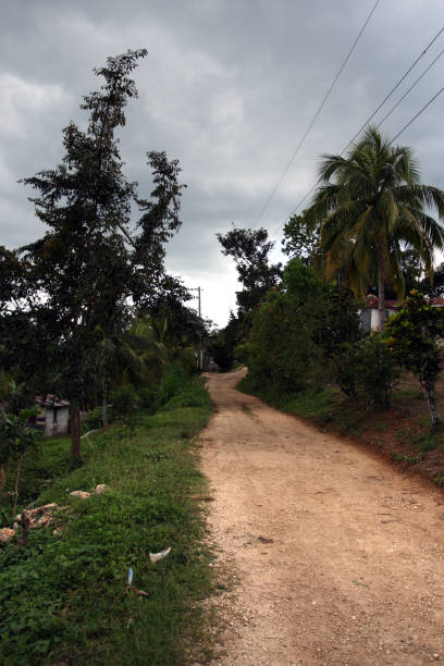 istock Croydon Plantation, Jamaica 1305744381