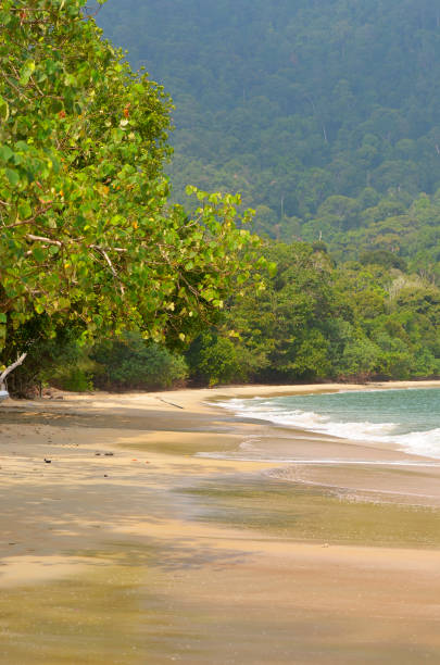 istock Langkawi Island, Malaysia 1305749641