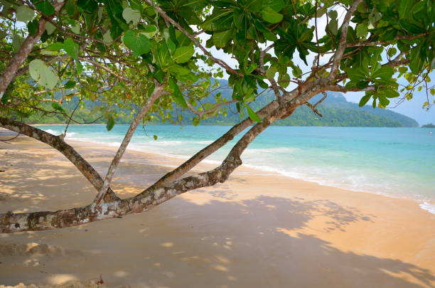 istock Langkawi Island, Malaysia 1305749660