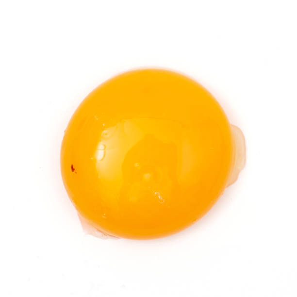 istock chicken yolk egg isolated on white background 1305754181