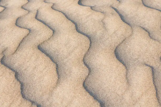 sand dune background, close up