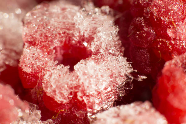istock Juicy frozen red raspberries macro 1305761895