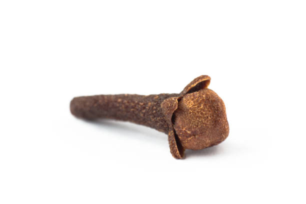istock clove macro Syzygium aromaticum 1305762700