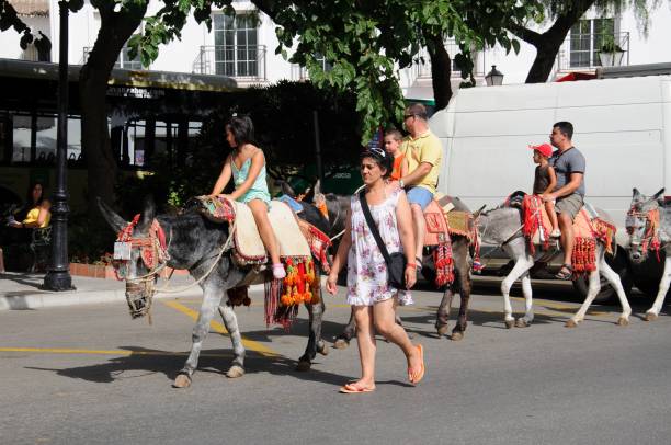 Donkey rides, Mijas, Spain. People taking Burro taxi ride (donkey rides) through the village, Mijas, Spain. mijas pueblo stock pictures, royalty-free photos & images