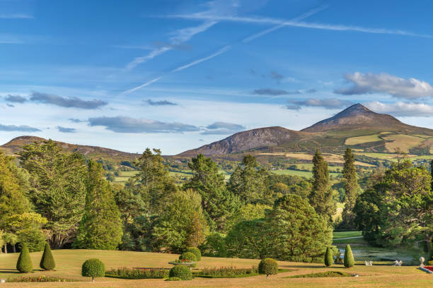 istock View of Old Long Hill, Ireland 1305766142