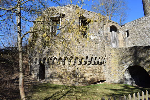 istock trees growing out of a ruin 1305769640
