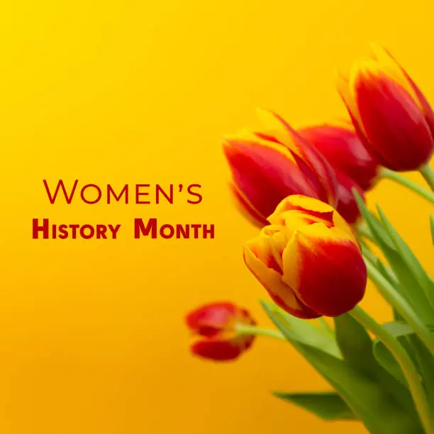 March is the month of women's history. Bouquet of yellow-red tulips with a female sign. Springtime concept.