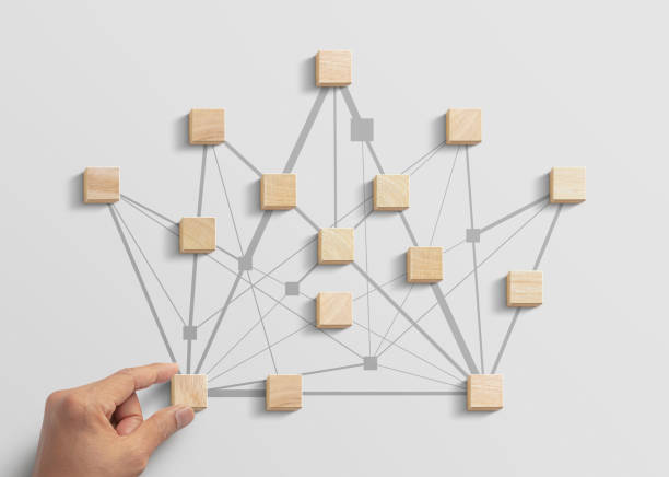 istock Human resources management, teamwork management or business strategy to success concept. Hand is arranging wooden blocks in low polygon crown shape network on white background. 1305772490