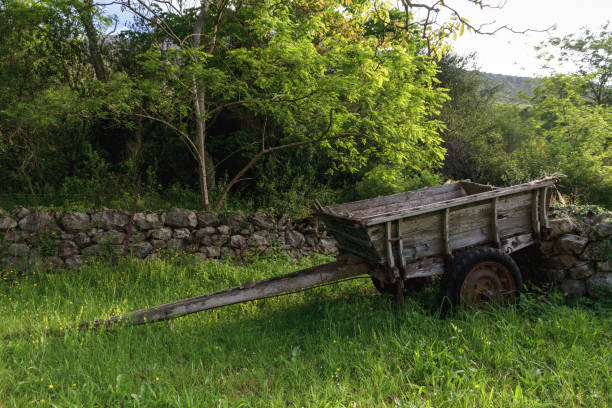 old wooden ox cart