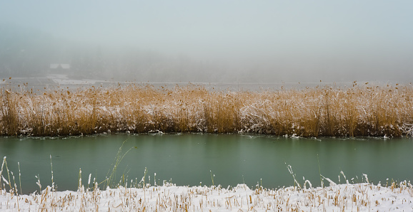 dree reed, lake and snow