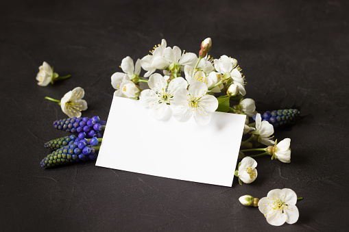 Spring flowers on black background, empty white card. Spring template for greeting cards for Mother's day, 8 march, women's day, Wedding invitation, Birthday card