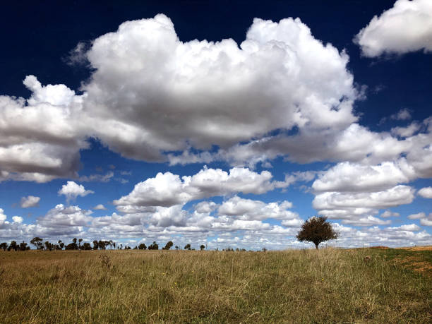 istock Australian Country Landscape - NSW 1305775513